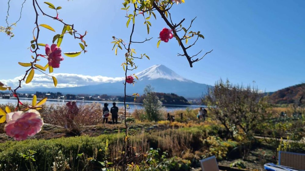 Image credits to Maria Fatima