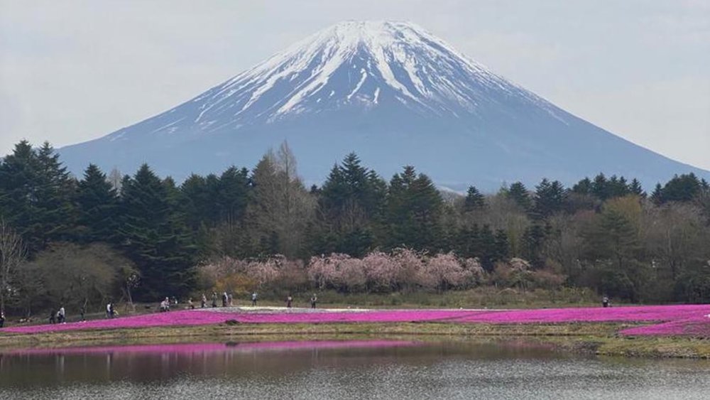 Mount Fuji from Lake Yamanaka. Image credits to Fung Chee