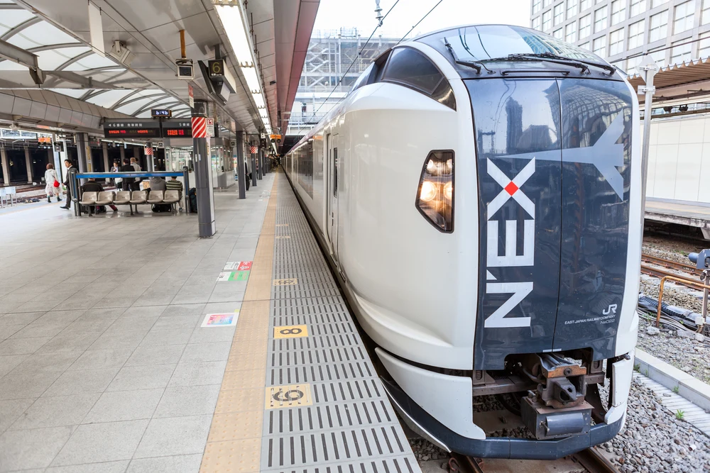 NE'X train