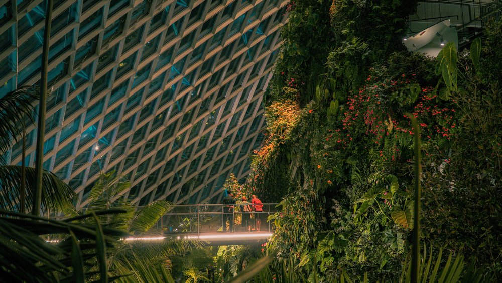 Three people standing on a bridgeway surrounded by greenery
