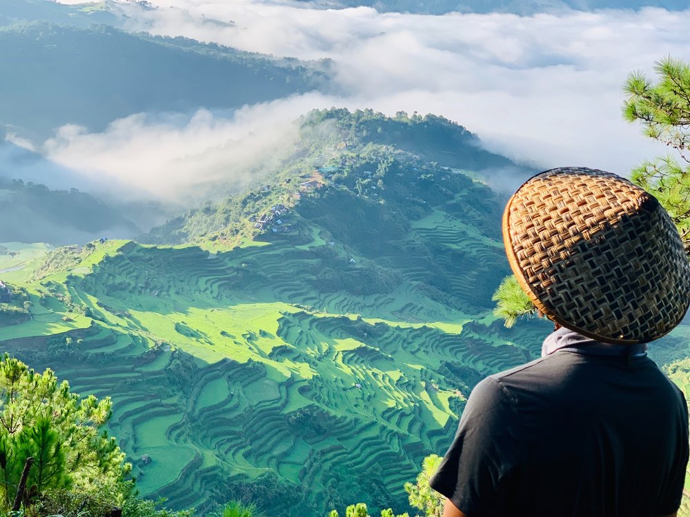 Top view of rice terraces