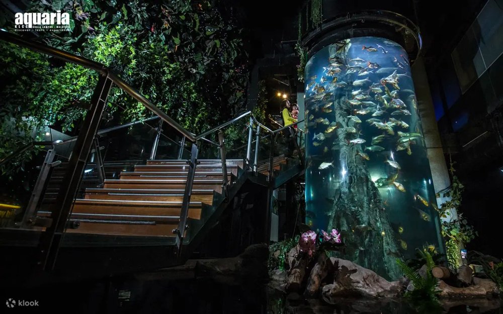 Công Viên Thủy Cung Aquaria KLCC - Đại Dương Thu Nhỏ Giữa Tại Kuala Lumpur