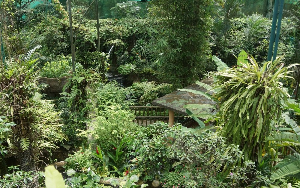 Vườn Bươm Bướm Kuala Lumpur (Butterfly Park)