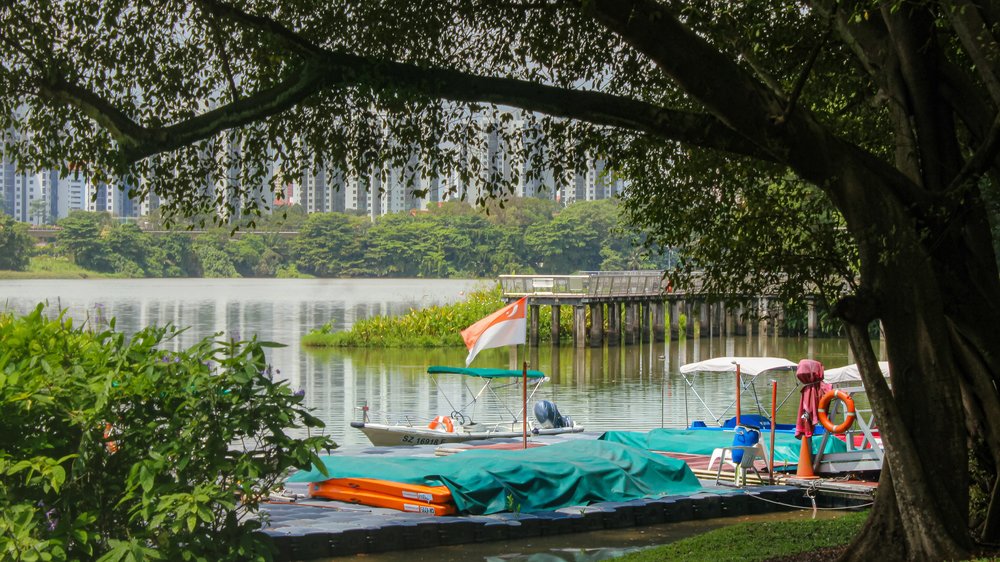 boat moored on a lakeside surrounded by trees
