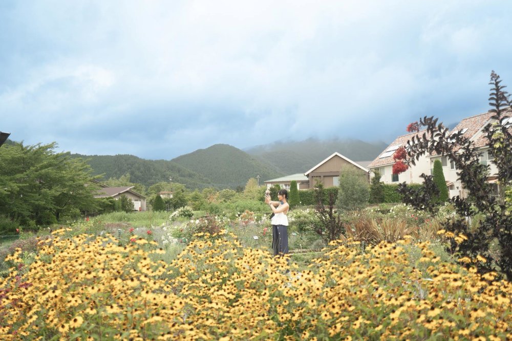 Oishi Park - Sheila Dara