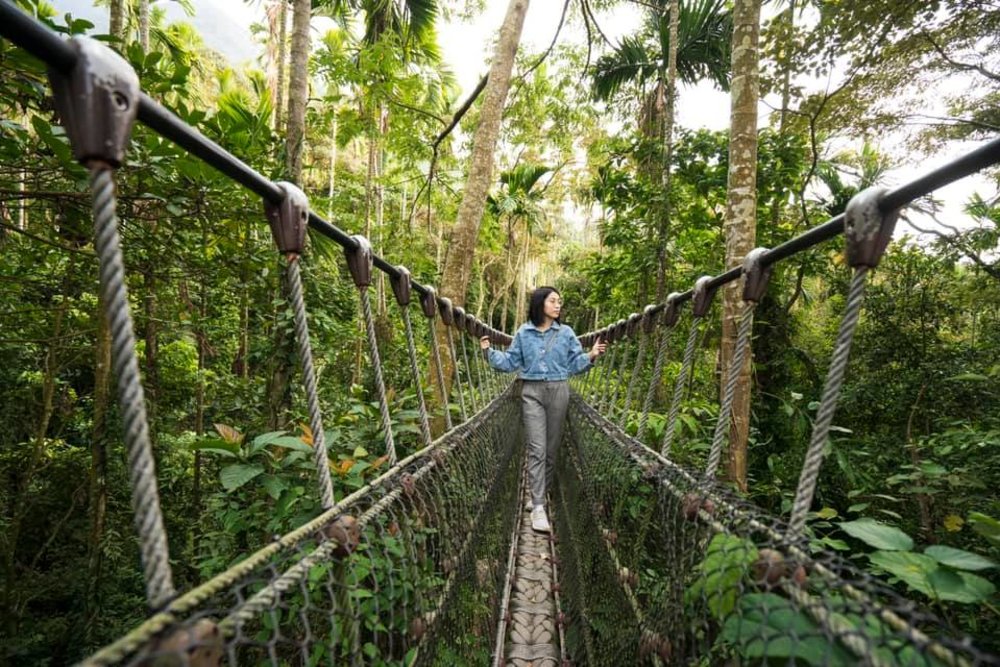 古坑景點華山休閒農業區