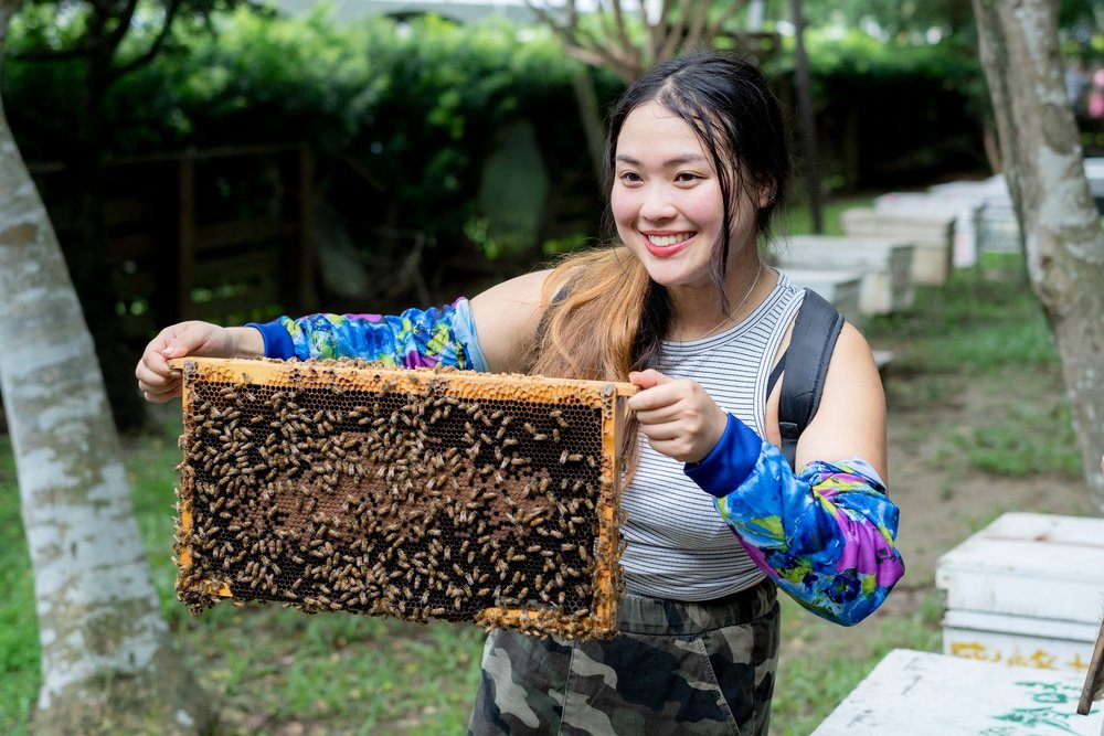古坑景點蜜蜂故事館