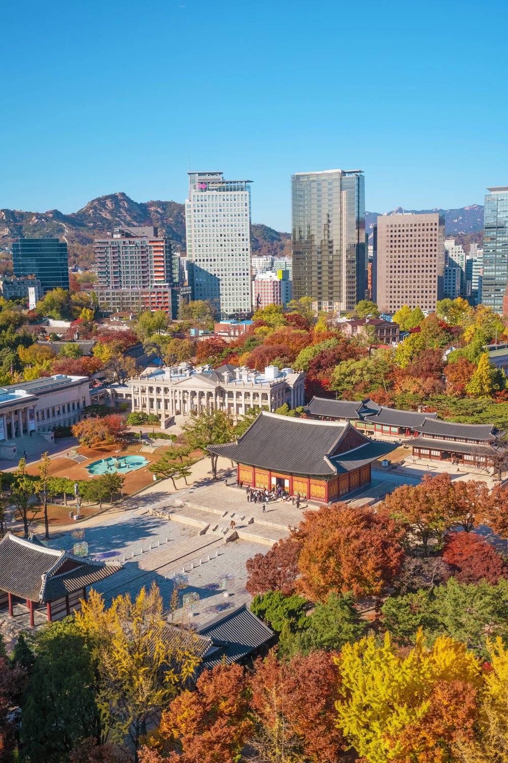 Fall in the Seoul