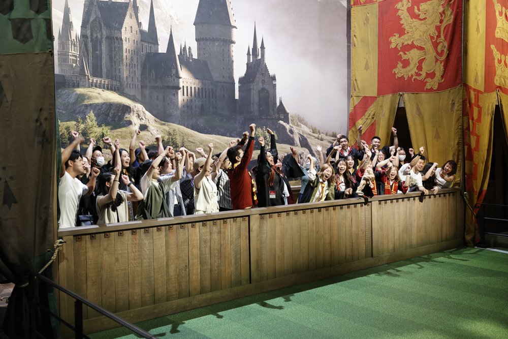 crowd of people cheering 