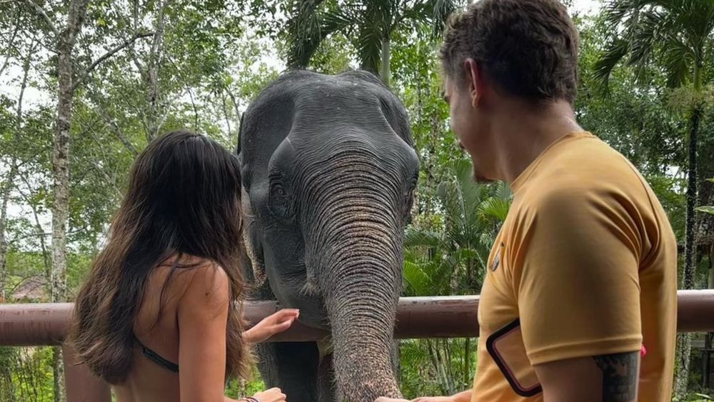 Bond with the elephants at this safe haven! Credits to @anasofsnchez on Instagram.