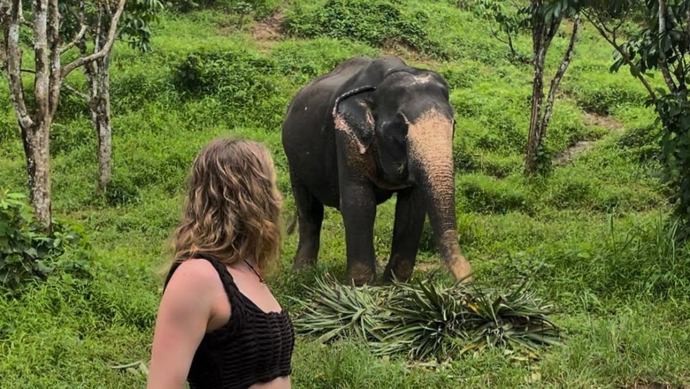 Meet the gentle giants of the wild! Credits to @naomi_sharp05 on Instagram.
