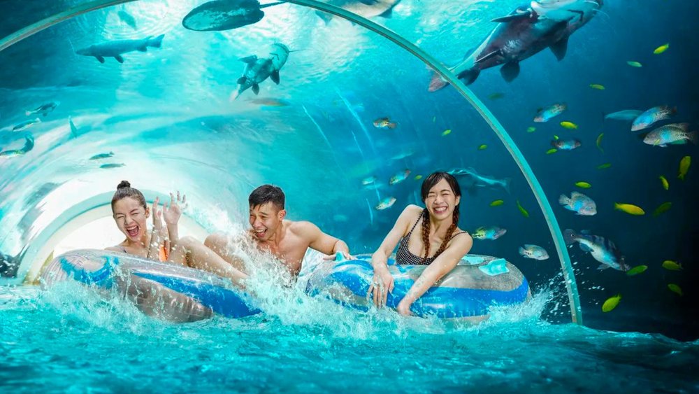 Adventure Cove Waterpark