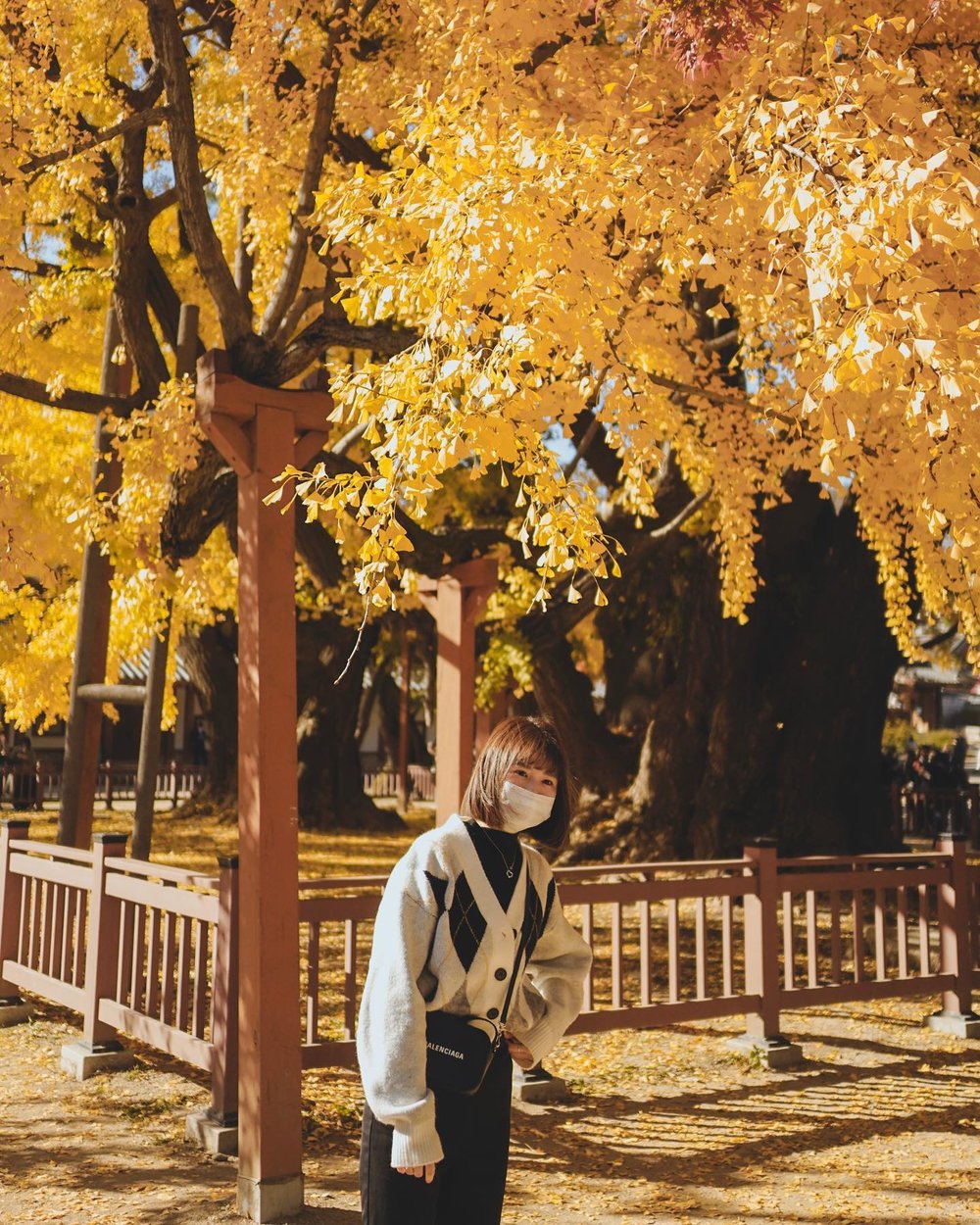 [hk]成均館明倫堂