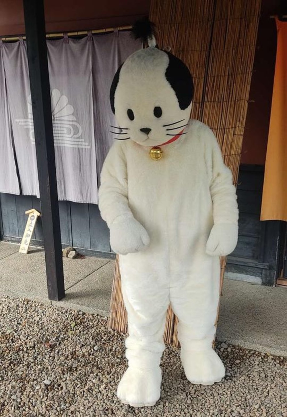 江戸ワンダーランド 日光江戸村 にゃんまげ