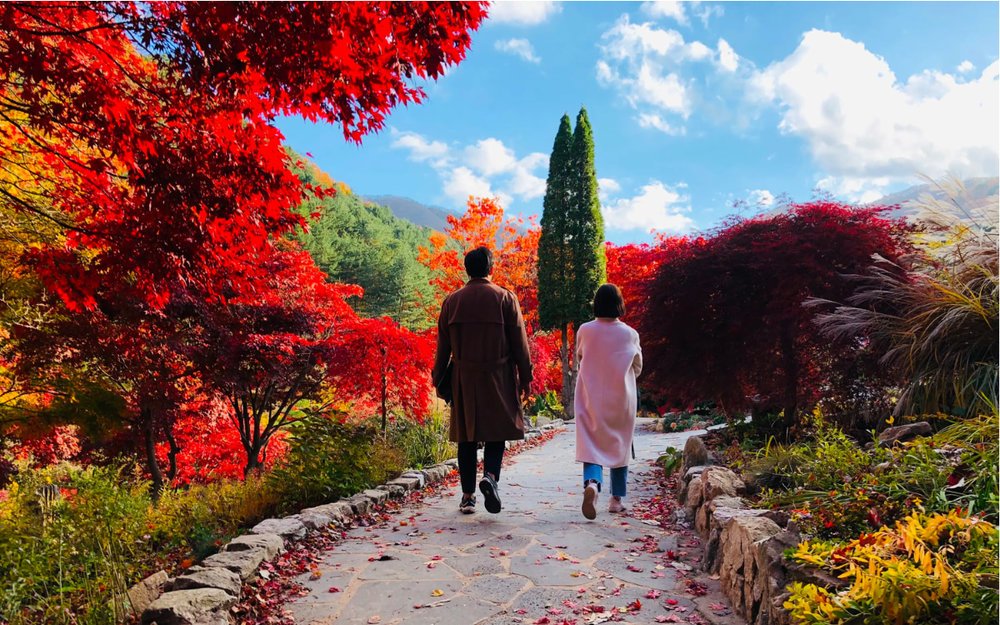 Vườn Garden of Morning Calm - Gyeonggi-do