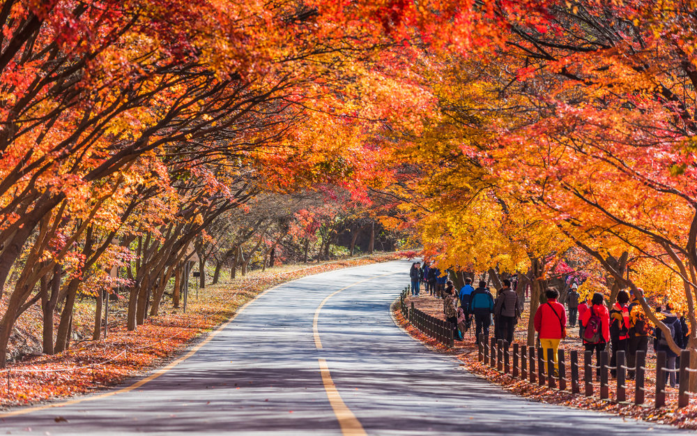 Vườn Quốc Gia Naejangsan - Jeollabuk-do