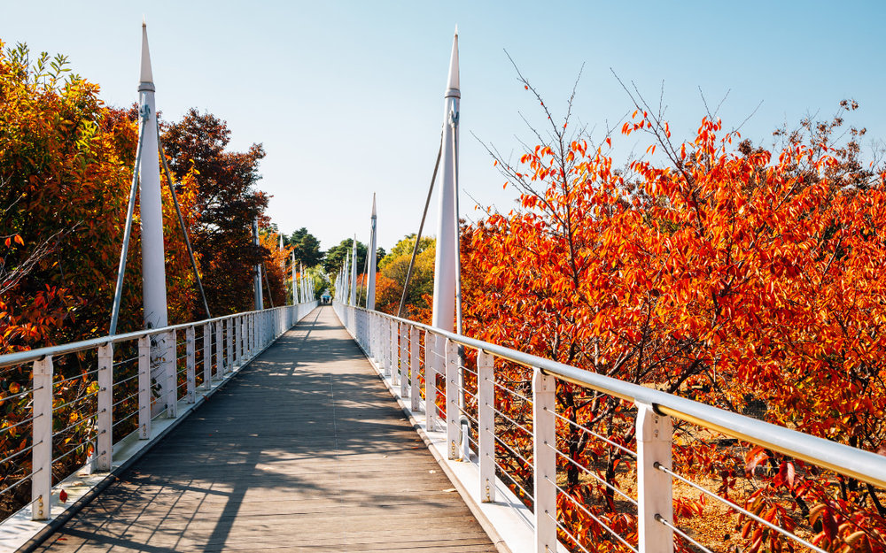 Công Viên Rừng Seoul