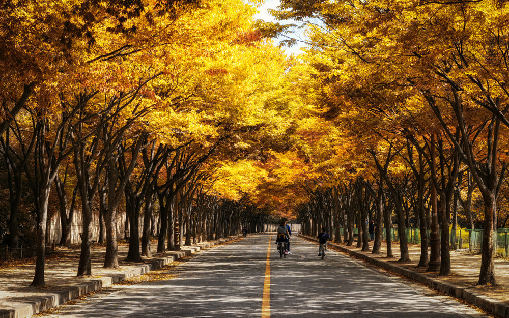 Incheon Grand Park - Công Viên Incheon, Hàn Quốc