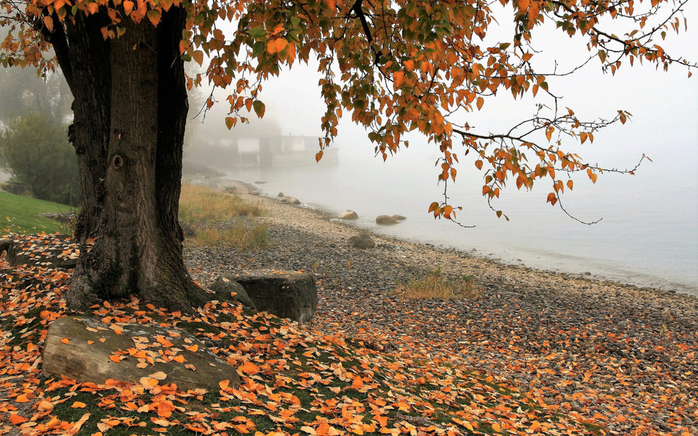 Hồ Bomun - Gyeongju