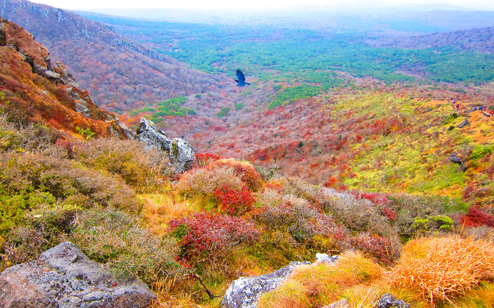 Công Viên Quốc Gia Hallasan - Đảo Jeju