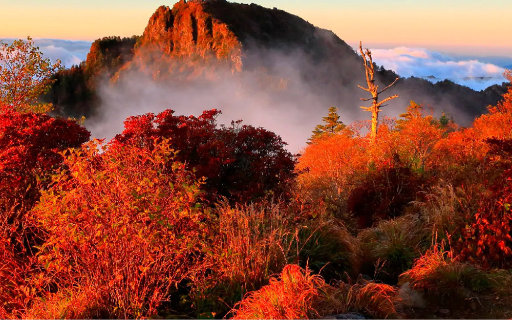 Núi Jiri - Gyeongsangnam-do