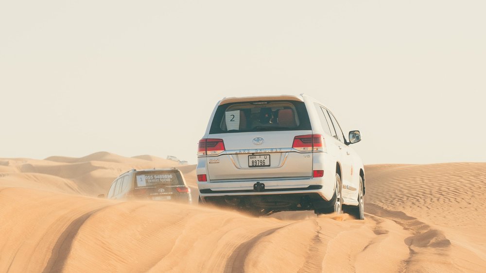 Go on an Evening Desert Safari with Dinner
