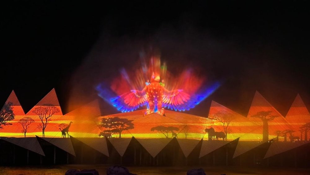 Experience the light show like no other! Image credits to Kim