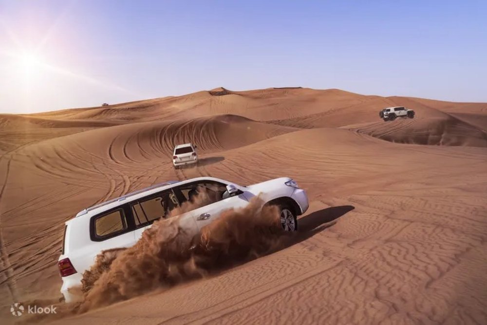 Go on an exciting desert adventure