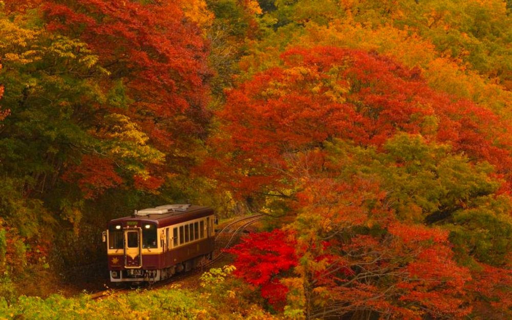 Đường Sắt Watarase Keikoku