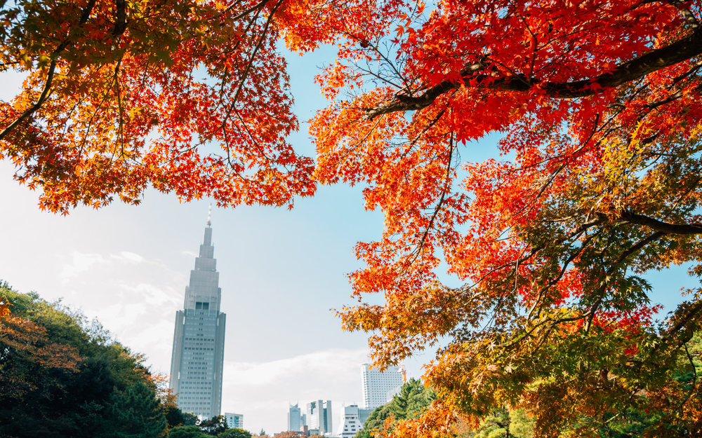 Vườn Quốc Gia Shinjuku Gyoen