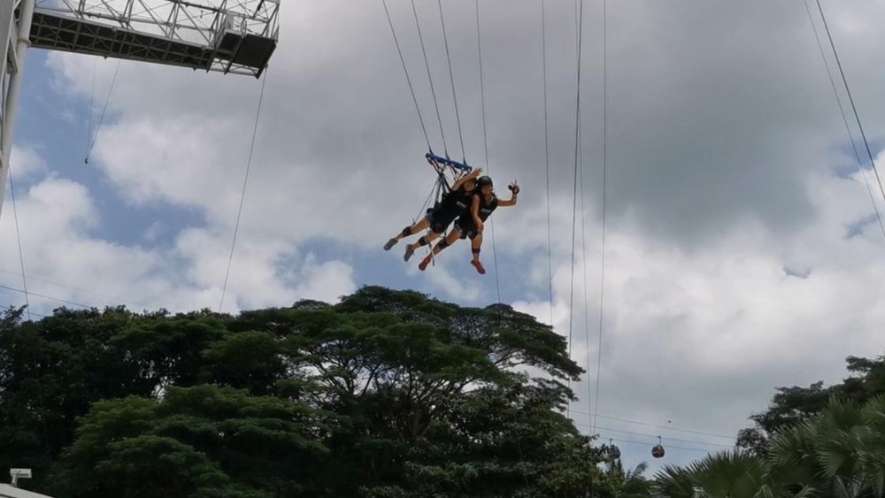 This swing is not for faint-hearted. Image credits to Wang