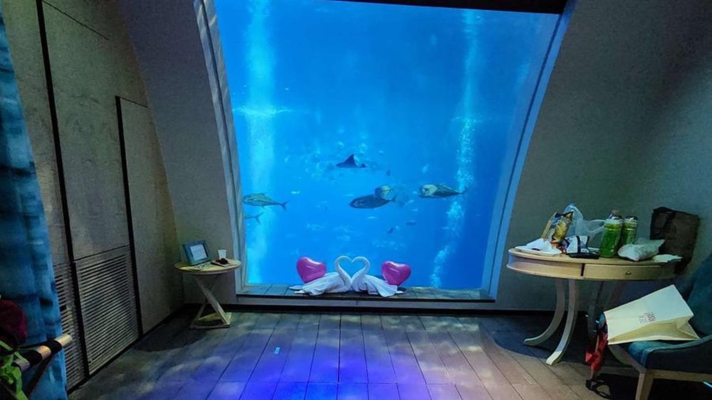 Room under the ocean, anyone? Image credits to Isnani