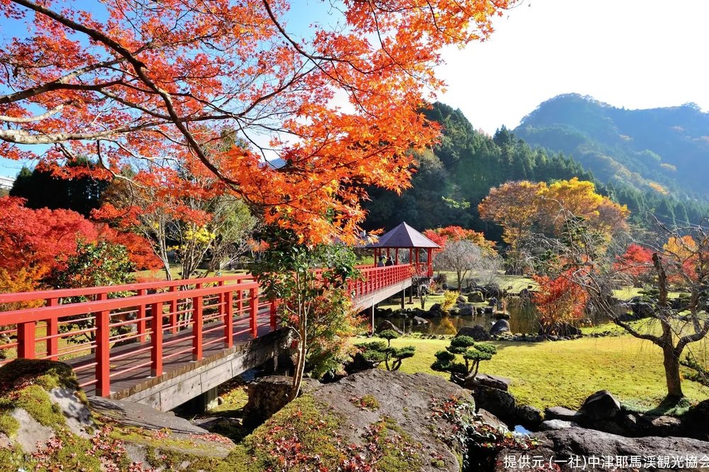 九州紅葉 福岡紅葉 九州紅葉2023 福岡紅葉2023