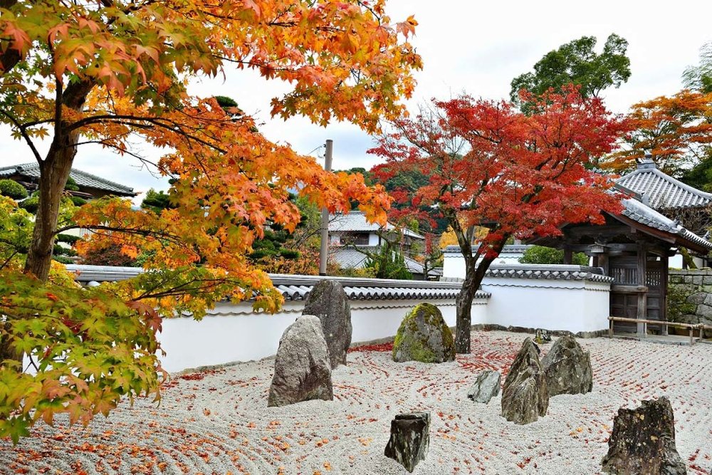 九州紅葉 福岡紅葉 九州紅葉2023 福岡紅葉2023