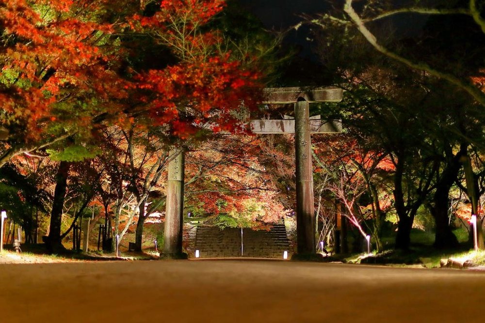 九州紅葉 福岡紅葉 九州紅葉2023 福岡紅葉2023