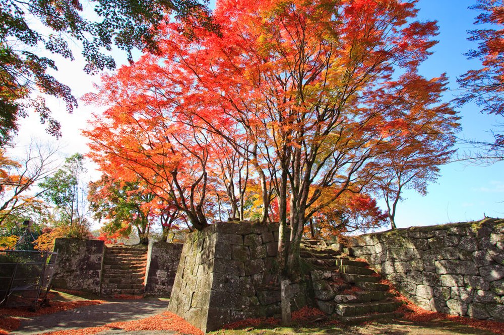 九州紅葉 福岡紅葉 九州紅葉2023 福岡紅葉2023