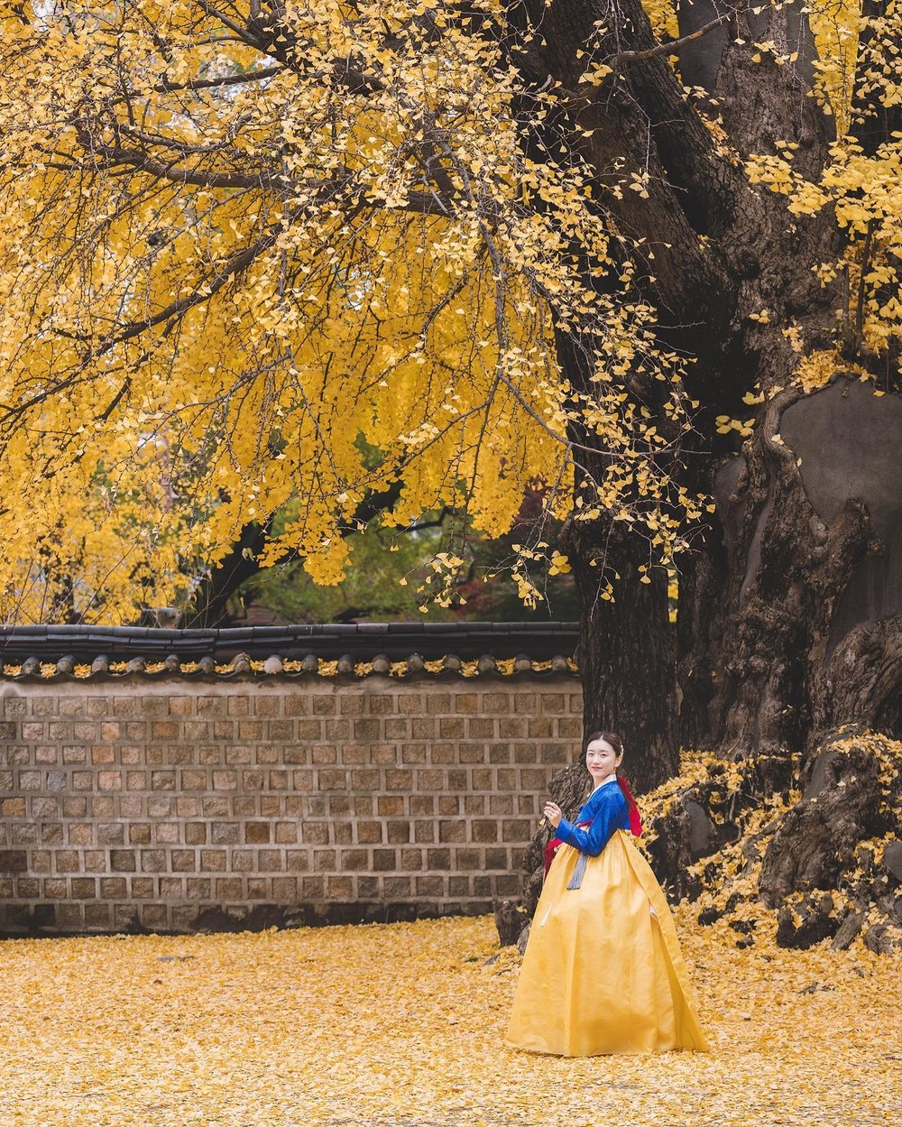 [hk]成均館明倫堂