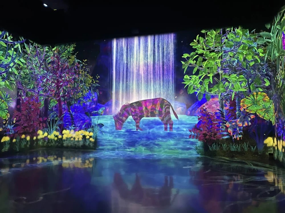 teamlab forest福岡捕捉蒐集森林