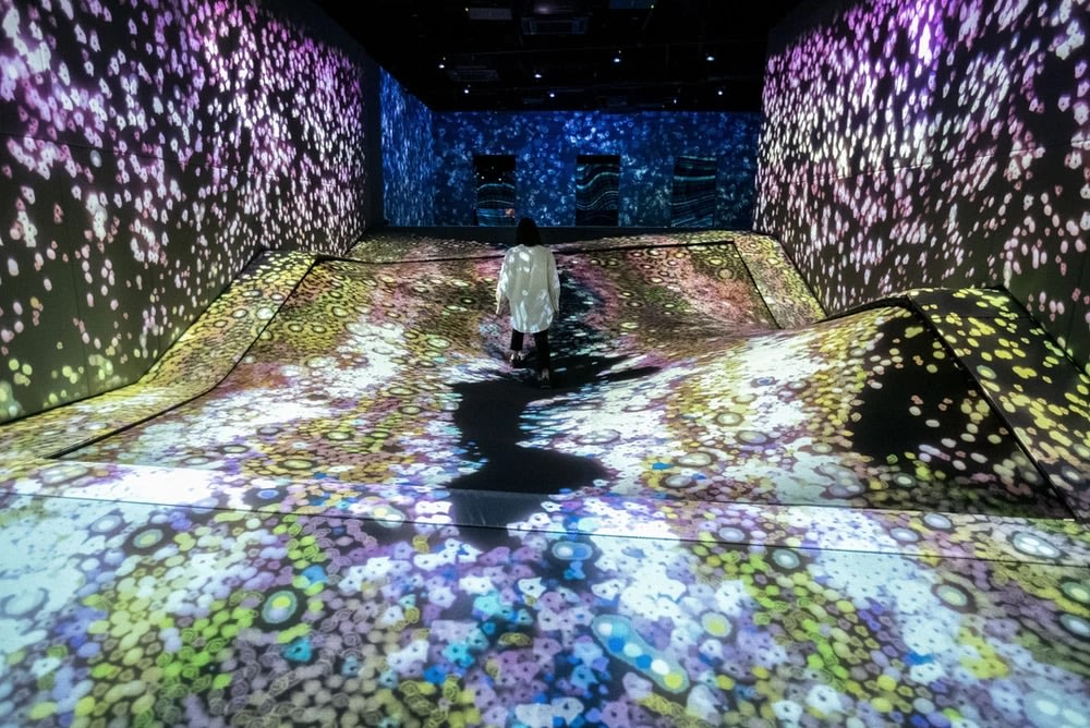 福岡teamlab forest 運動森林