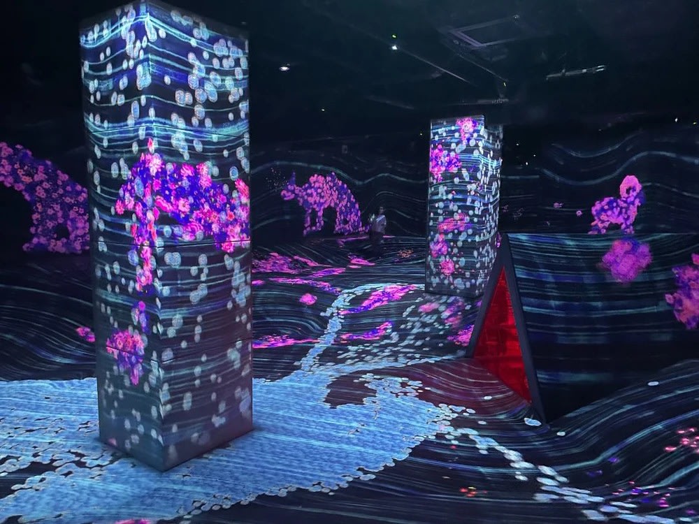 福岡teamlab forest福岡森林美術館