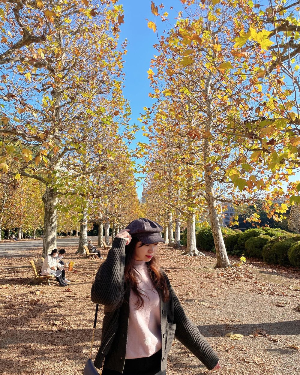 東京銀杏 新宿御苑