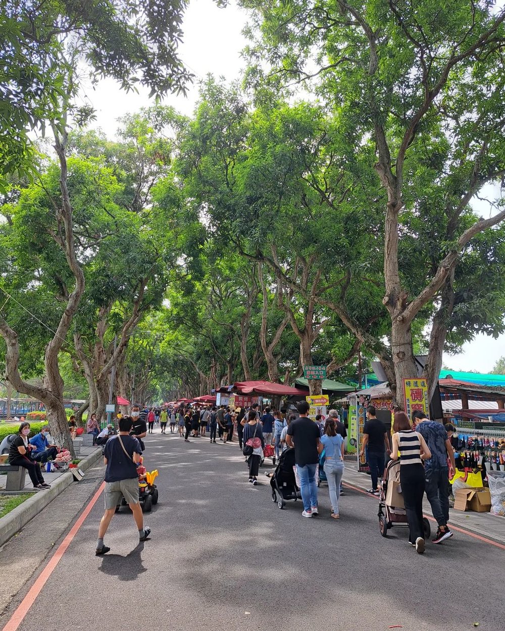 古坑景點古坑綠色隧道