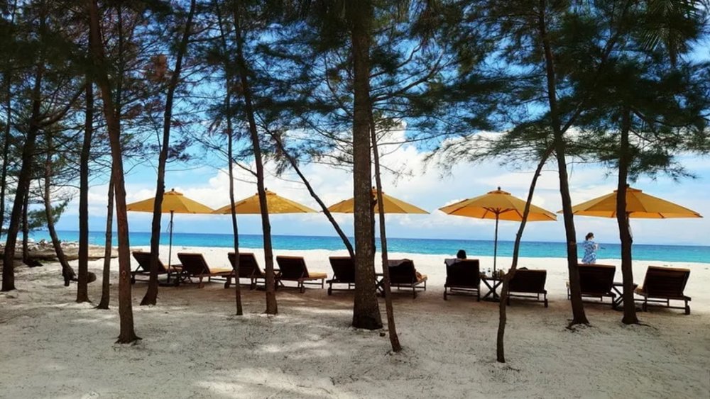 [hk]JOYKreator 鋒加西亞