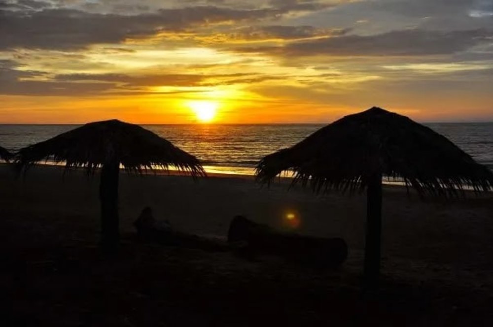 [hk]JOYKreator 鋒加西亞