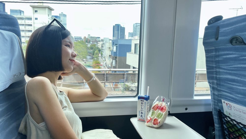 搭乘富士回遊去富士山