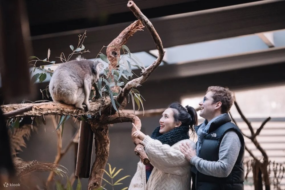 墨爾本自由行墨爾本Gumbuya主題樂園
