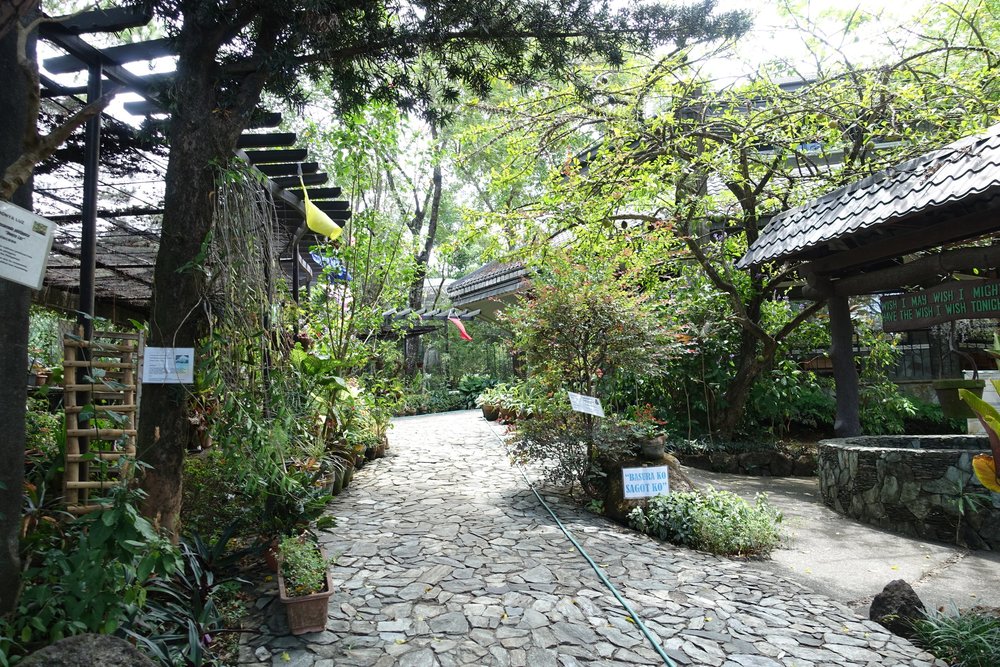 PACEM Eco Park pathway