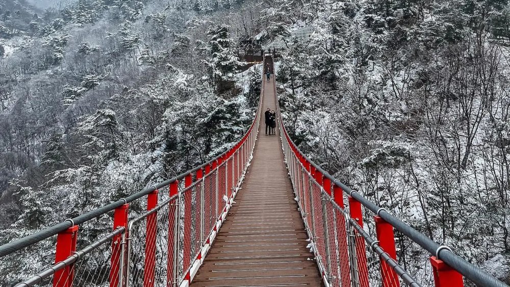 Seoul Winter Attractions and Strawberry Picking