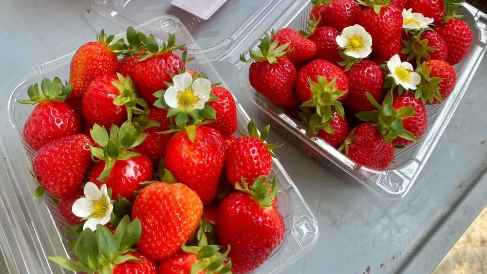 Korean Strawberries