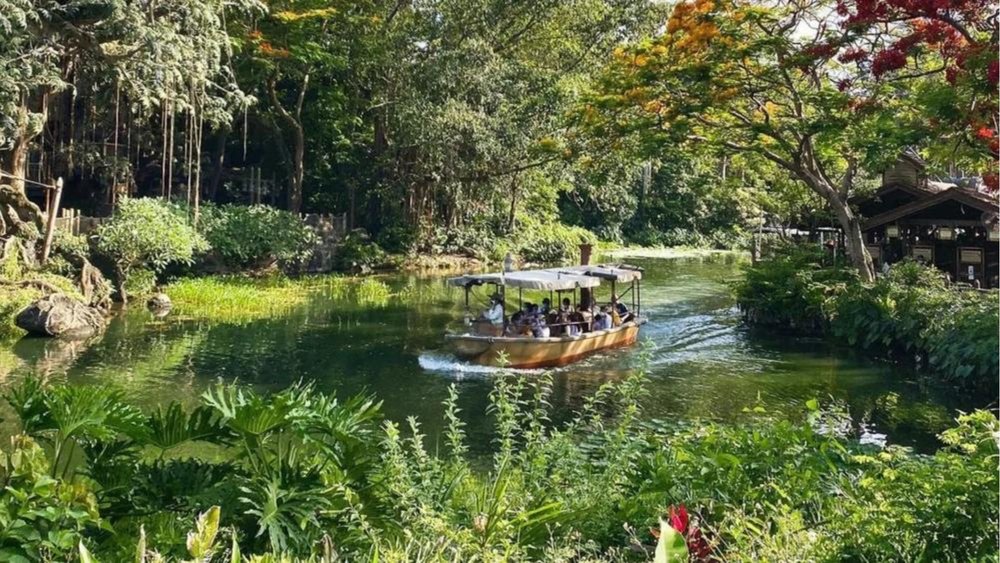 Expect lots of dad jokes, stunning sceneries, and nature aboard the Congo Queen! Image credit to @kokoro_sumtim on Instagram